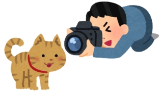 猫を撮影するカメラマン