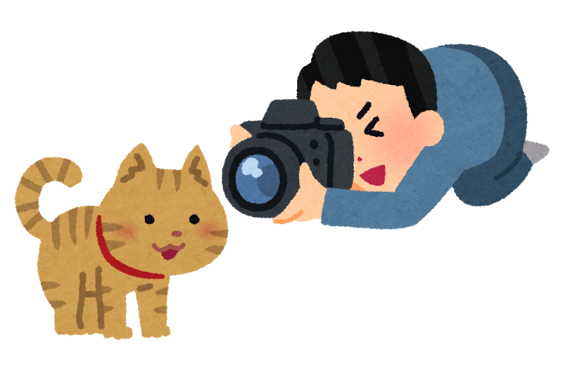 猫を撮影するカメラマン
