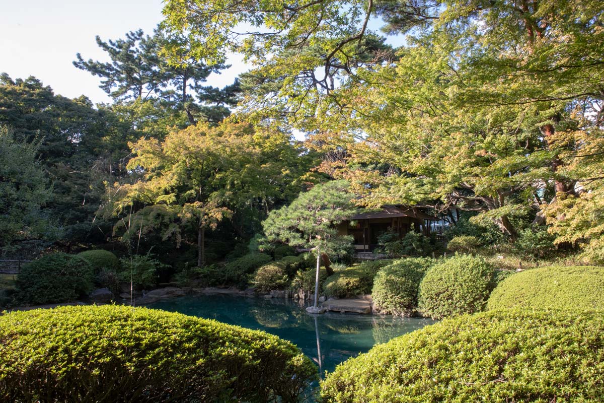 日本庭園2