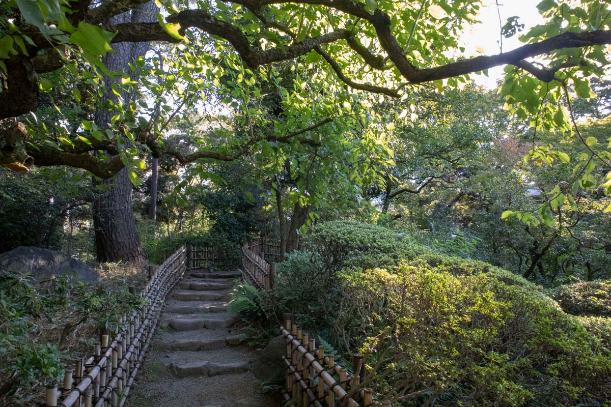 日本庭園3