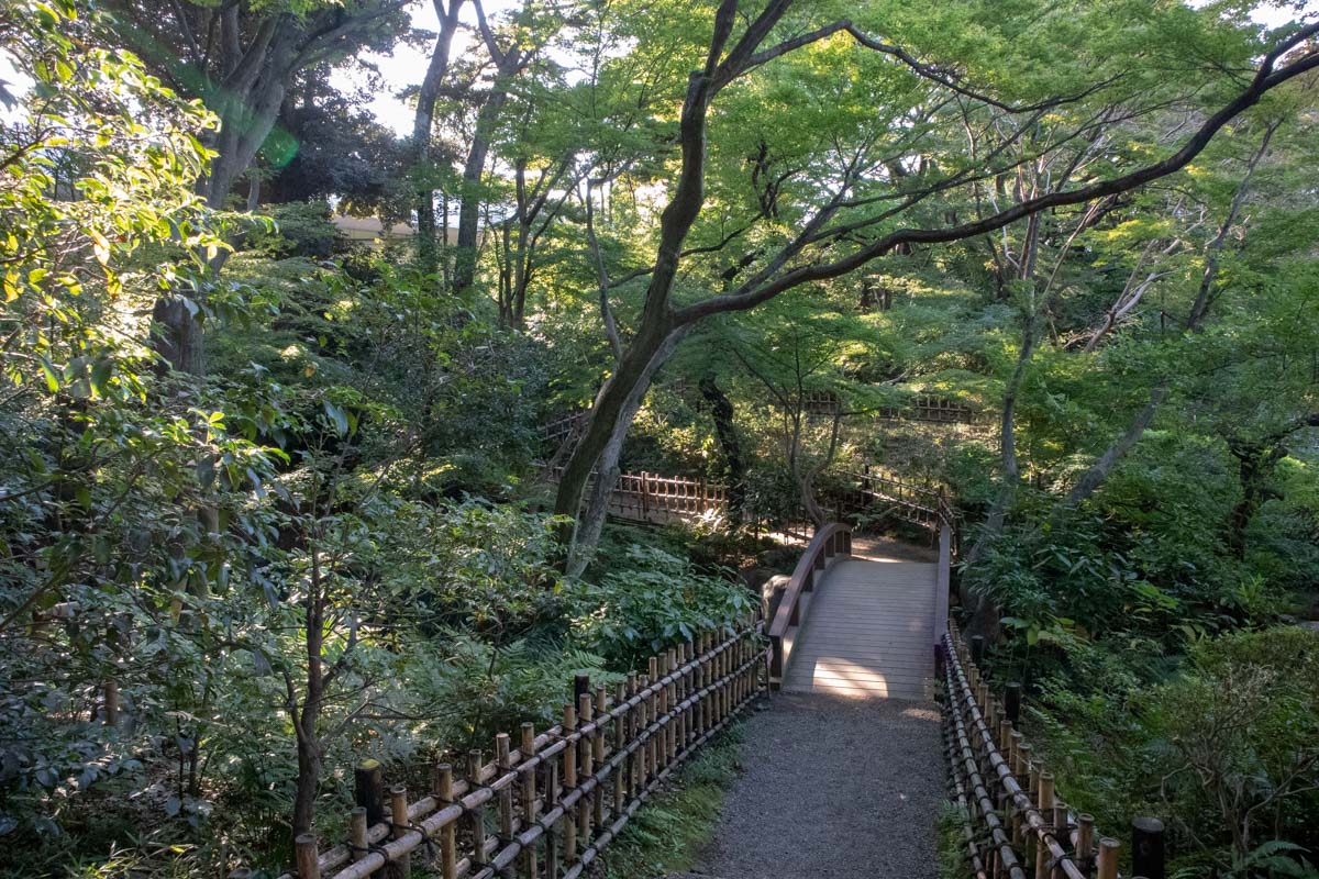 日本庭園の池の橋