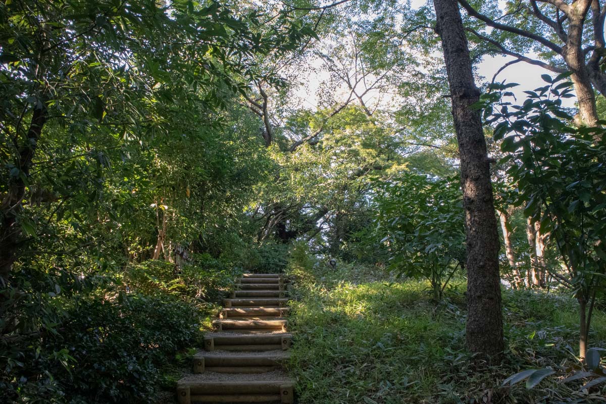 日本庭園4