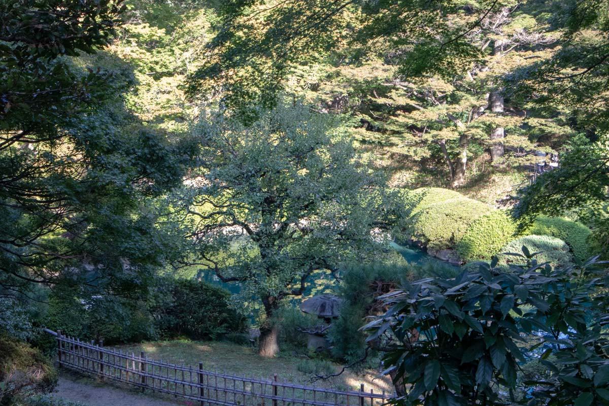 日本庭園5
