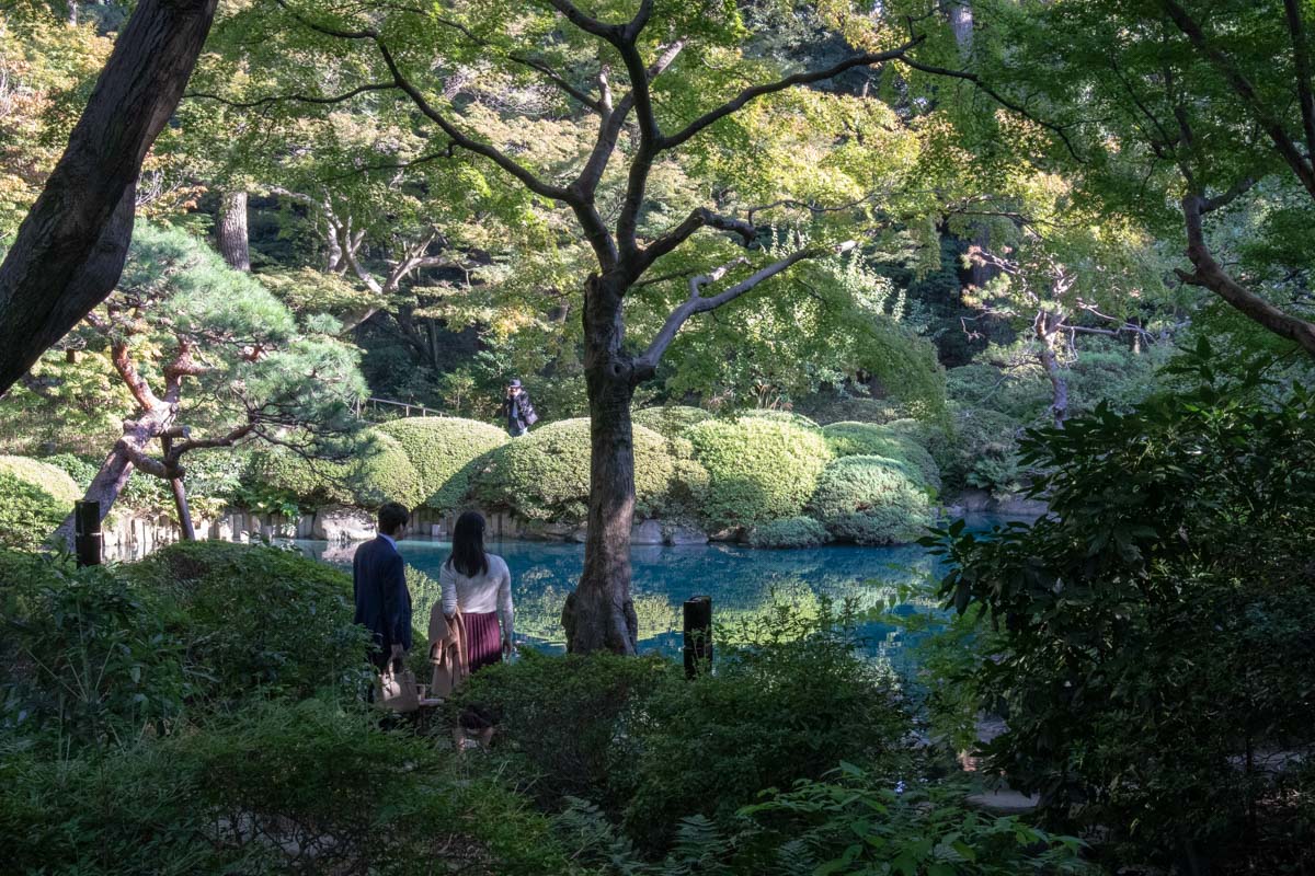 日本庭園6