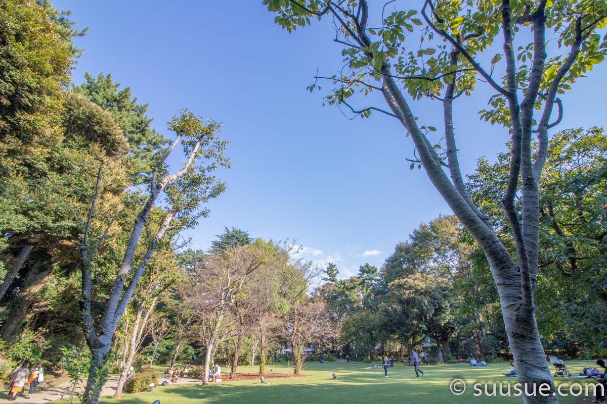 西洋庭園6