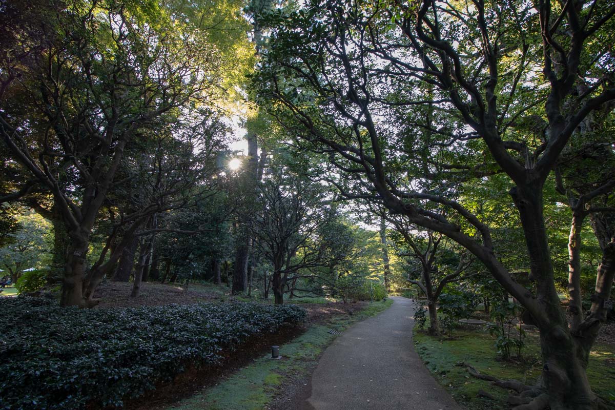 広場から日本庭園に