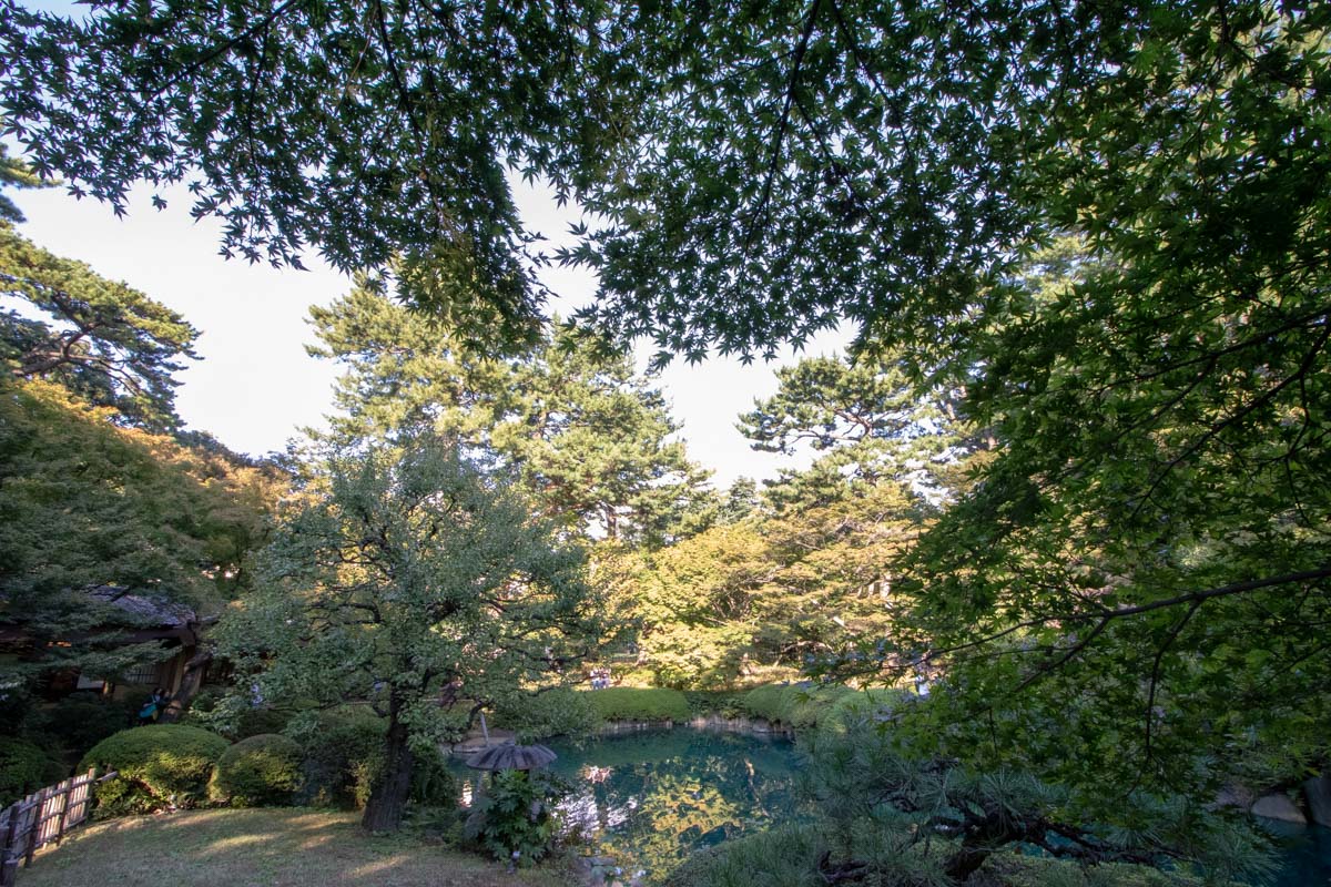 日本庭園2-5