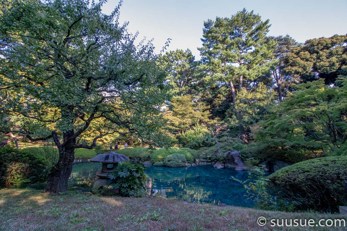 日本庭園2-6