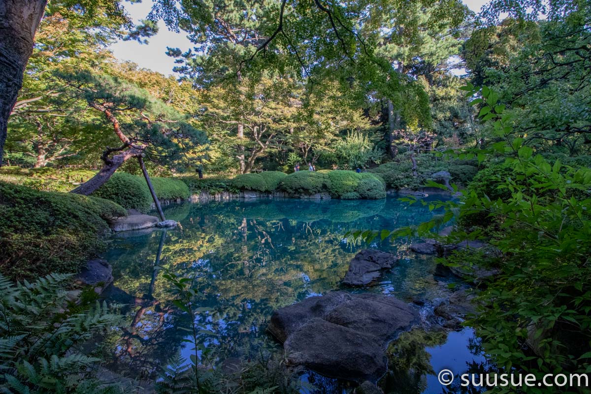 日本庭園2-8