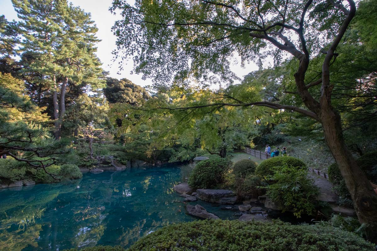 日本庭園2-9