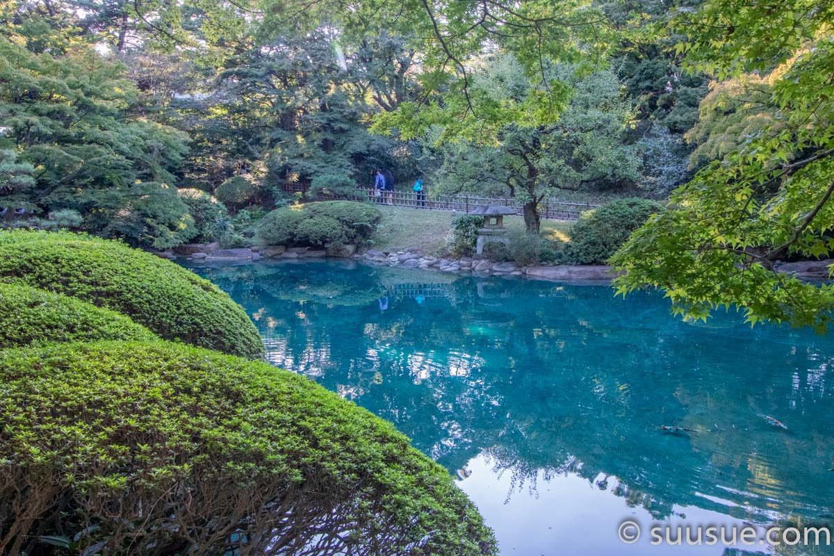 日本庭園の池2