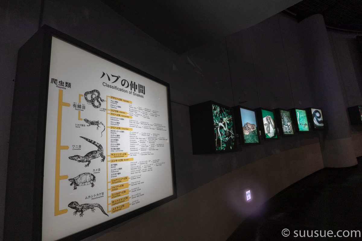 おきなわワールド　ハブ博物公園