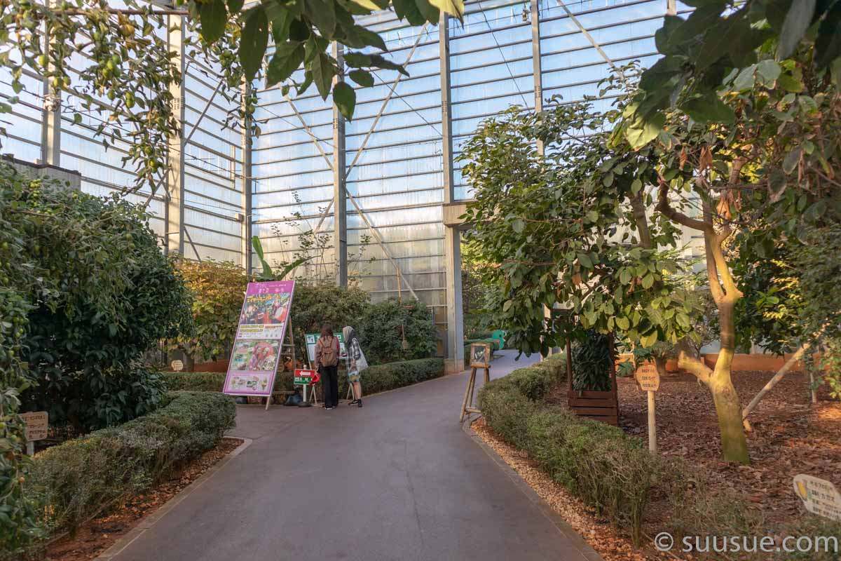 おきなわワールド 熱帯フルーツ園