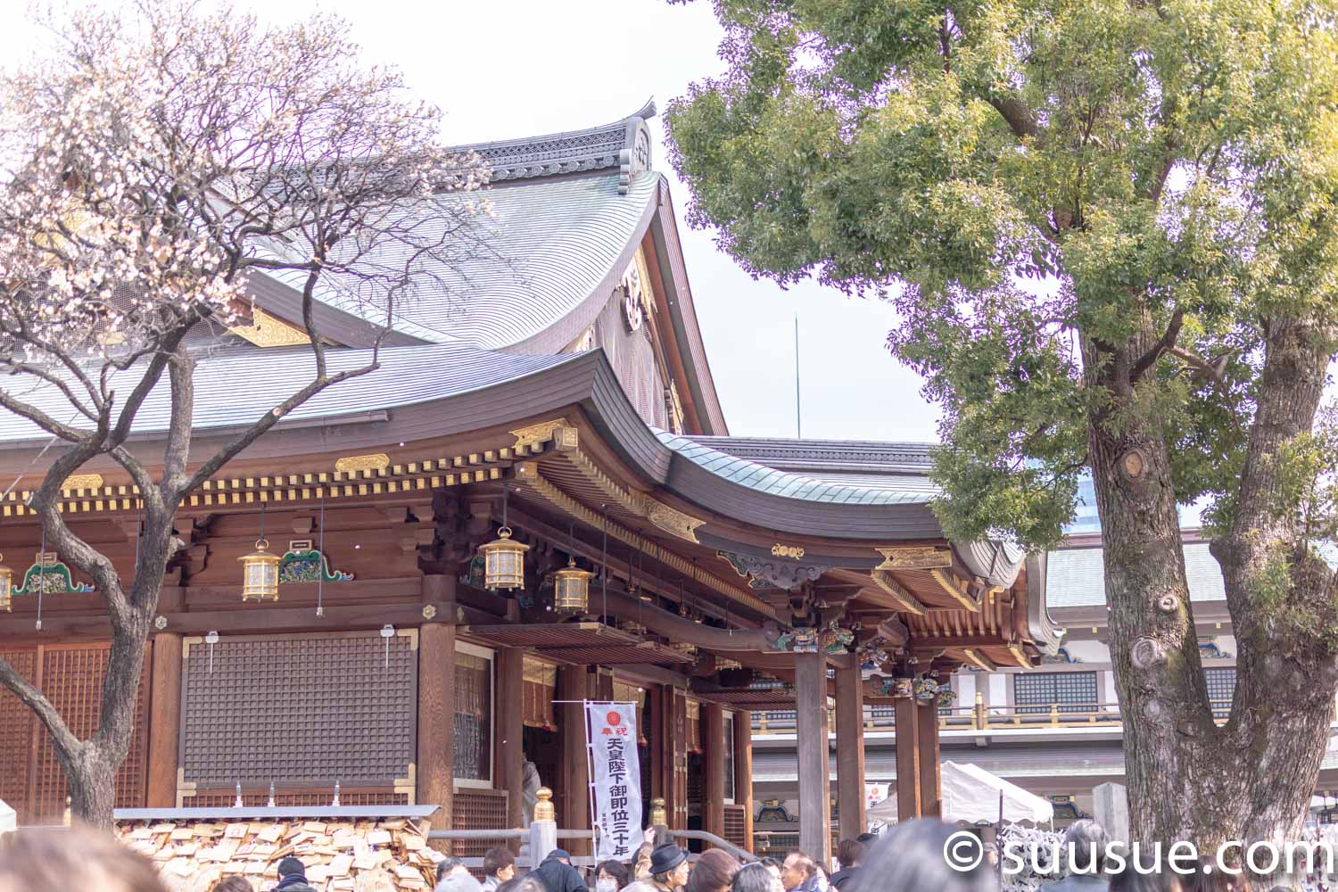 湯島天神　本殿　梅園側