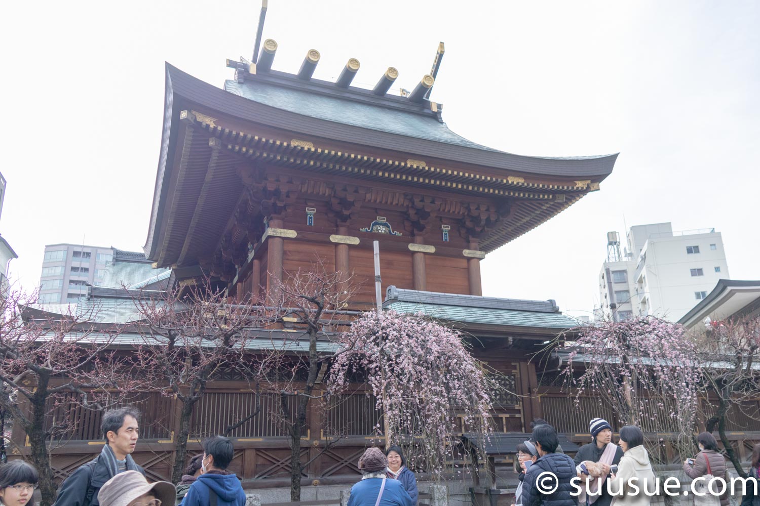 湯島天神　本殿裏側