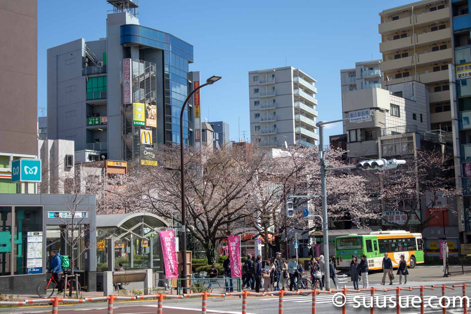 駒込駅前の桜