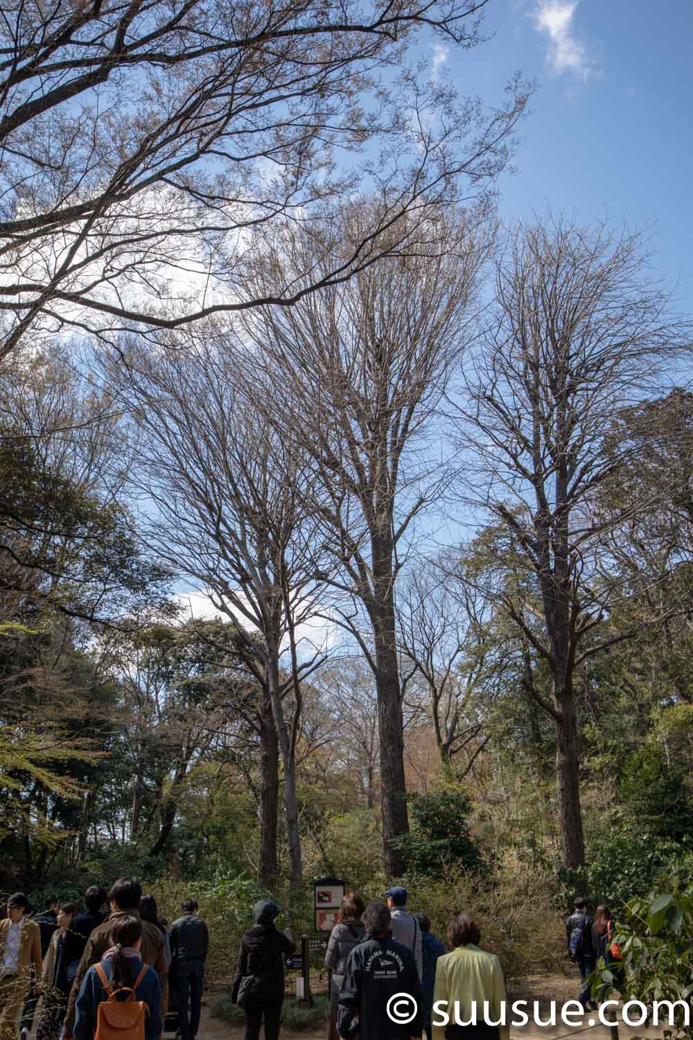 六義園
