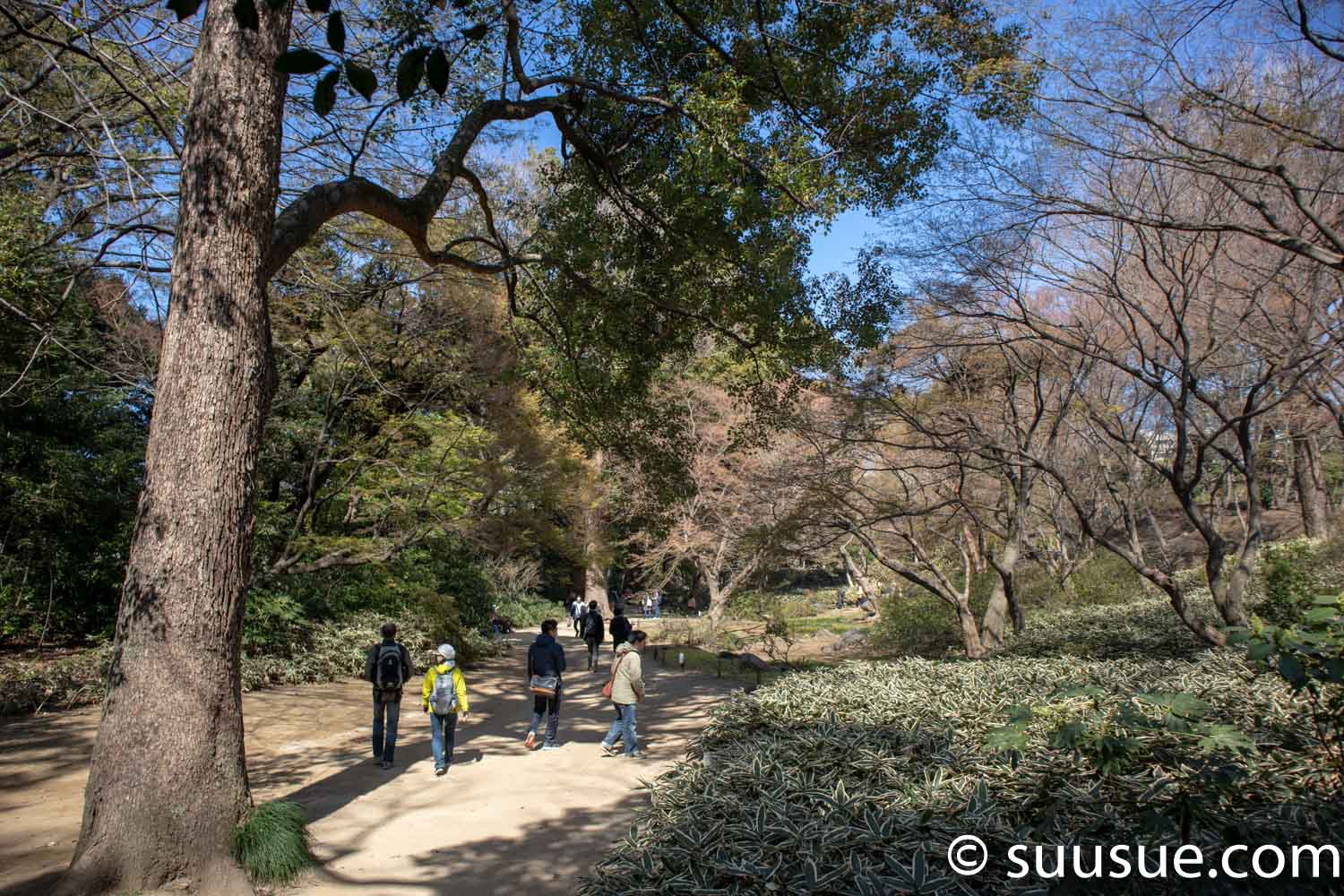 六義園