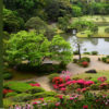 六義園 | 庭園へ行こう。